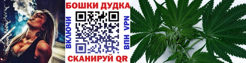 Каннабис сатива  Комсомольск 